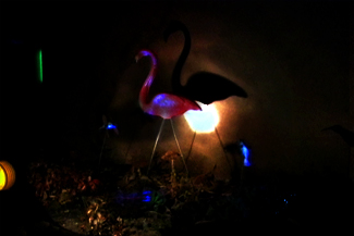 From "Glowing Evidence," a series of lenticular photographs by Laurie Tumer.